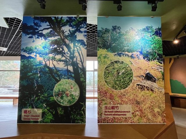 2024 01 11 46 池南國家森林遊樂區