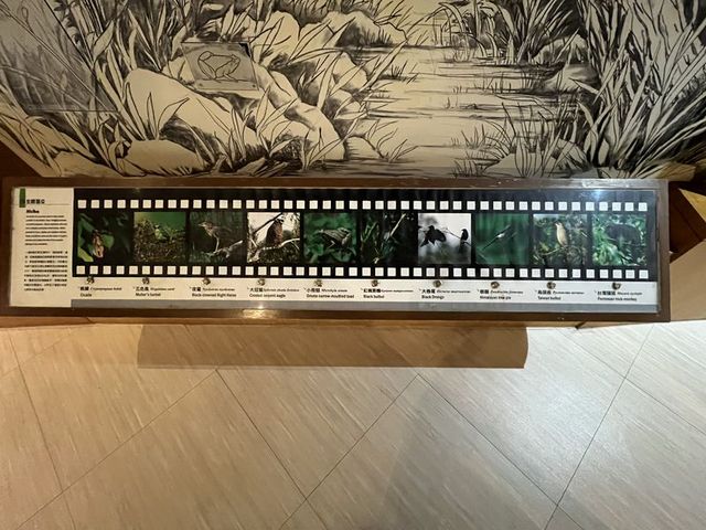 2024 01 11 51 池南國家森林遊樂區