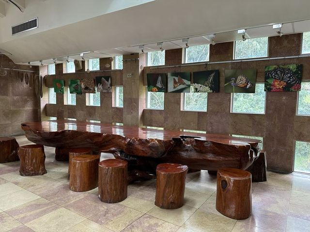 2024 01 11 55 池南國家森林遊樂區