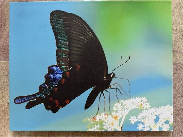 2024 01 11 57 池南國家森林遊樂區