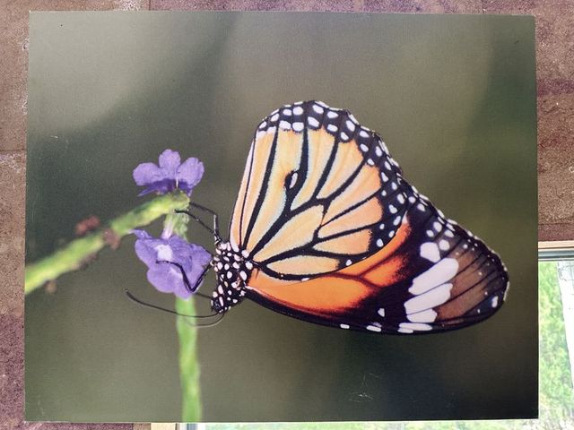 2024 01 11 60 池南國家森林遊樂區