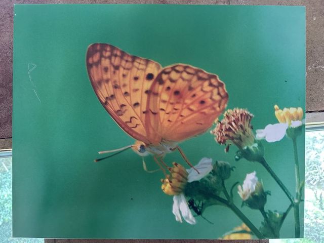 2024 01 11 67 池南國家森林遊樂區