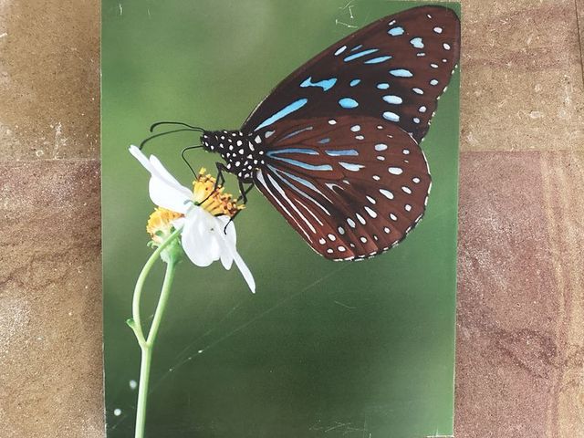 2024 01 11 69 池南國家森林遊樂區