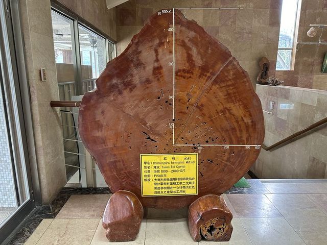 2024 01 11 71 池南國家森林遊樂區