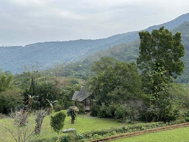 2024 01 11 75 池南國家森林遊樂區