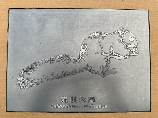 2024 01 11 80 池南國家森林遊樂區