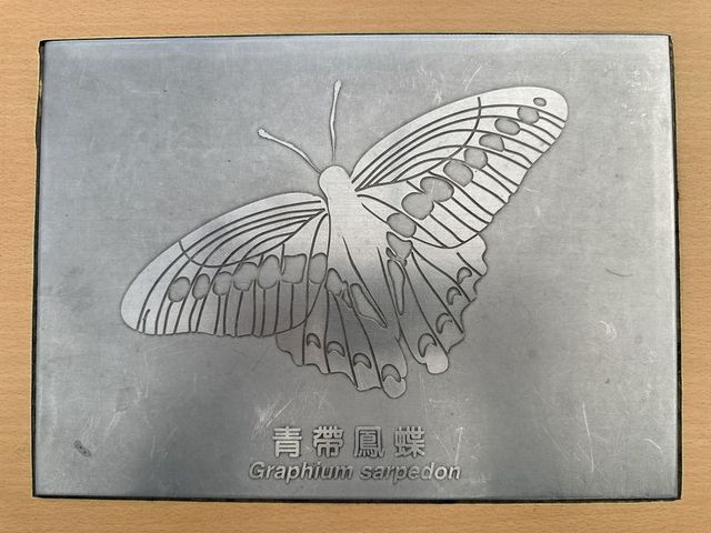 2024 01 11 81 池南國家森林遊樂區