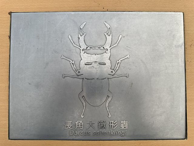 2024 01 11 82 池南國家森林遊樂區