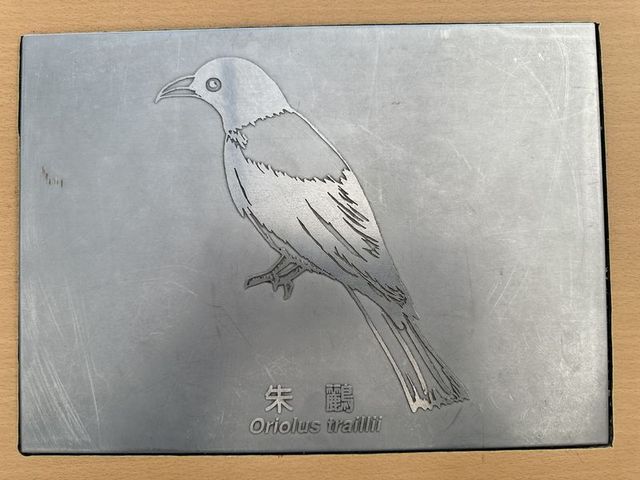 2024 01 11 83 池南國家森林遊樂區