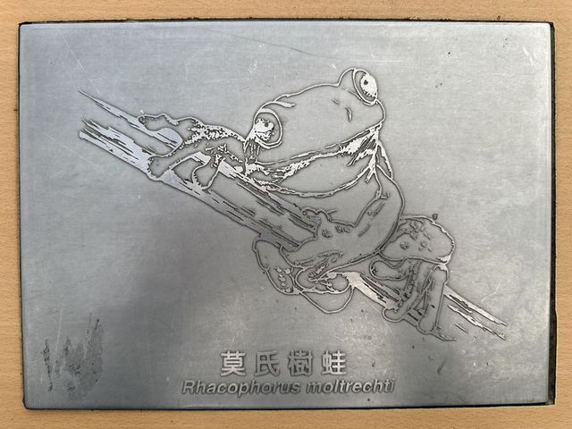 2024 01 11 84 池南國家森林遊樂區