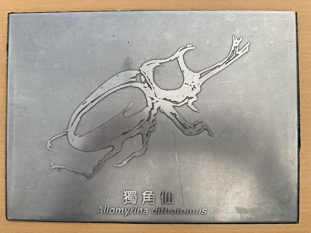 2024 01 11 86 池南國家森林遊樂區