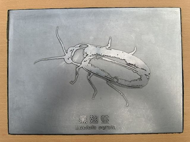 2024 01 11 87 池南國家森林遊樂區