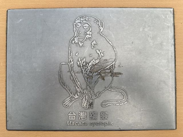 2024 01 11 88 池南國家森林遊樂區