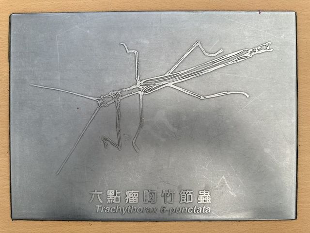 2024 01 11 89 池南國家森林遊樂區