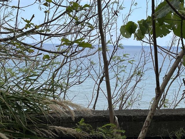 2024 01 12 05 富山