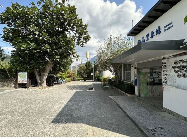 2024 01 12 05 山里