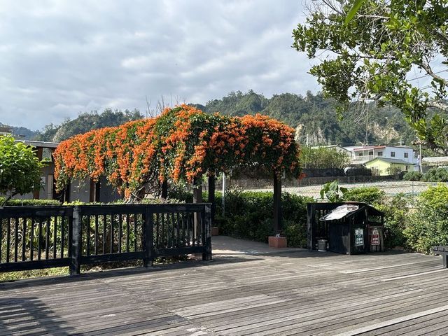 2024 01 12 18 山里