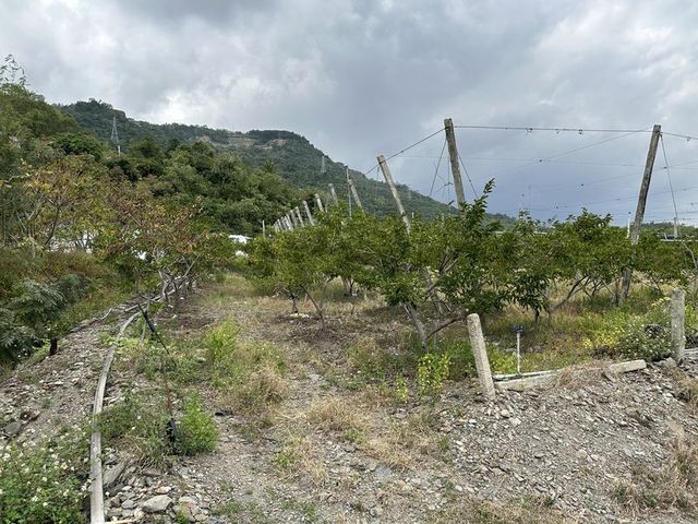 2024 01 12 22 三和