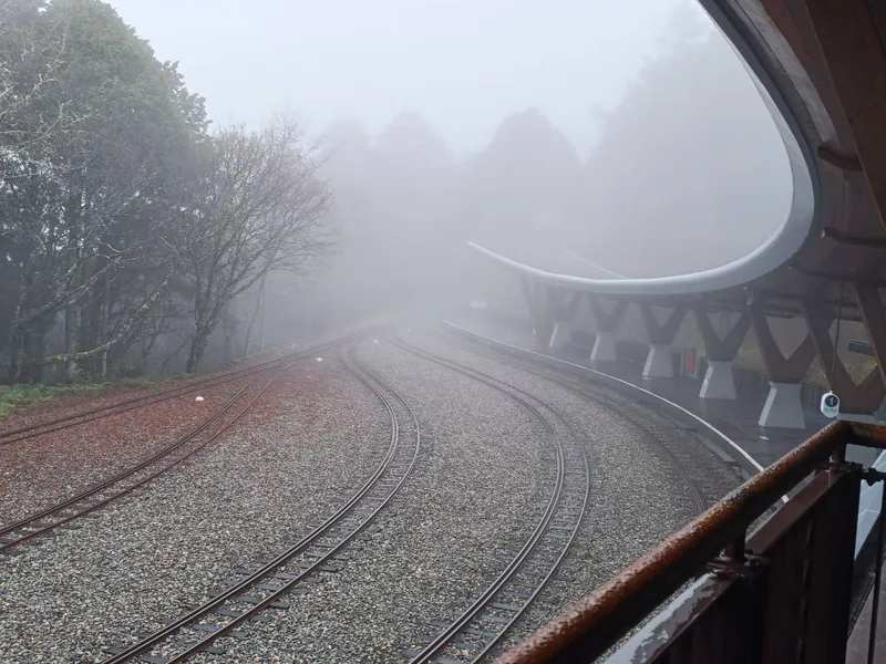 阿里山 祝山 車站 2025 02 04 13