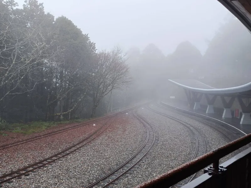 阿里山 祝山 車站 2025 02 04 14