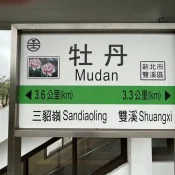 2022-12-15-11 牡丹